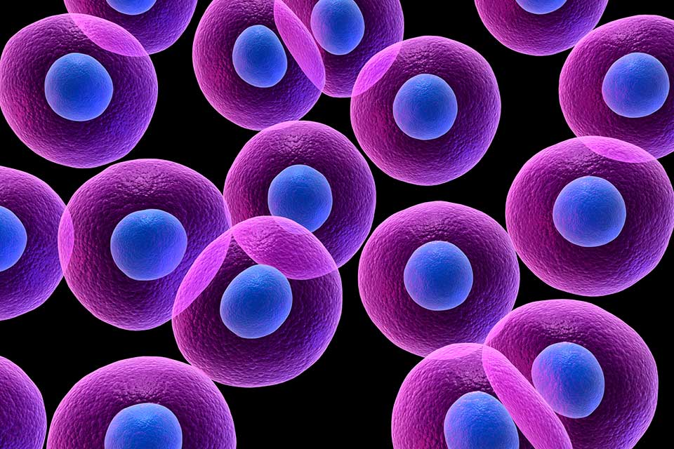 biological physics image